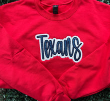 Glitter Texans Embroidered Sweatshirt or Shirt