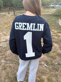 Wimberley Texans Basketball Sweatshirt
