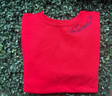 Texans stars Font Collar Shirt or Sweatshirt