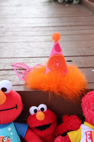 Custom Birthday Party Hat