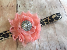 Cheatah Print and Coral Headband