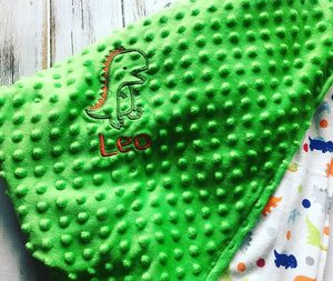 Dinosaur Baby Blanket