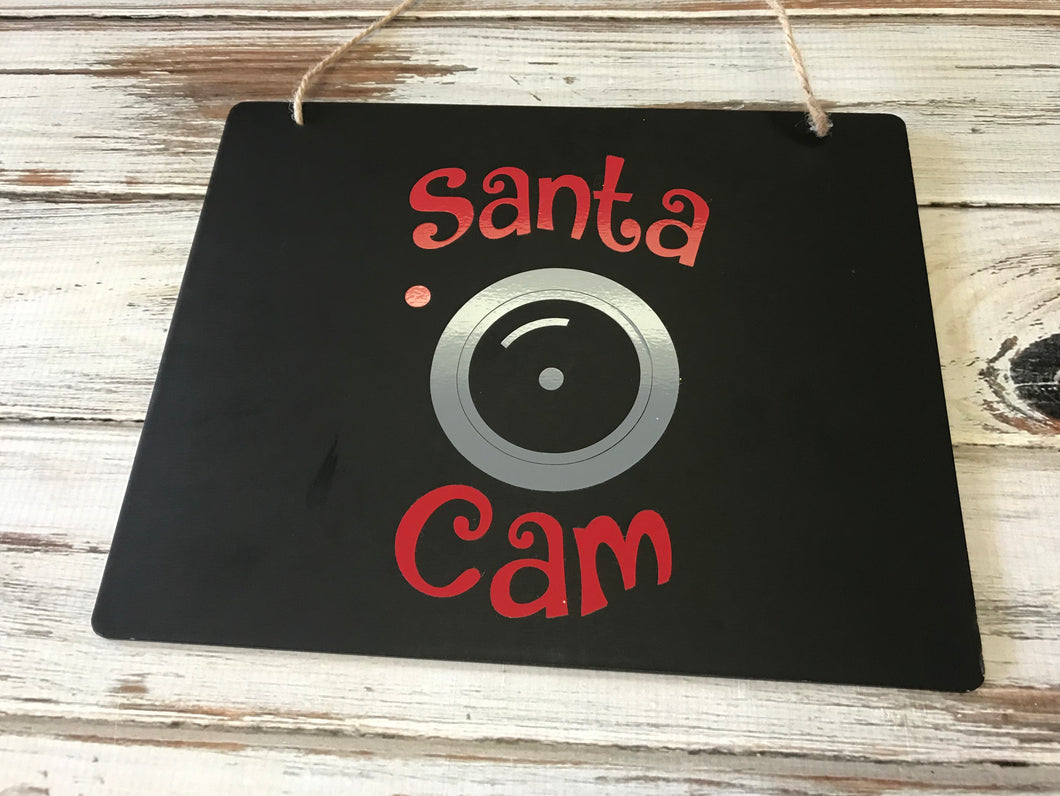 Hanging Santa Cam